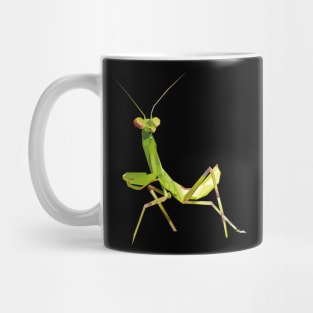 Mantis Mug